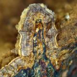 Kapundaíta<br />Cantera Tom's, Kapunda, Cordilleras Monte Lofty Norte, Australia Meridional, Australia<br />Campo de visión 6 mm.<br /> (Autor: Antonio P. López)