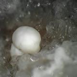 Dresserita<br />Cantera Francon, Montréal, Distrito St. Michel, Condado Jacques Cartier, Québec, Canadá<br />Esfera de 1 mm.<br /> (Autor: Antonio P. López)