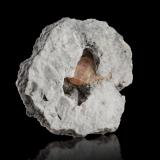 Sidorenkite on AlbiteMina Umbozero, pegmatita Shomiokitovoe, Monte Alluaiv, Macizo Lovozero, Península Kola, Oblast Murmansk, Rusia5 x 4.5 x 1.5 cm / main crystal: 1.2 cm. (Author: MIM Museum)