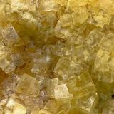 Fluorita amarilla.<br />Explotación La Florina, Mina Gloria Segunda, Hornachuelos, Comarca Valle Medio del Guadalquivir, Córdoba, Andalucía, España<br />10x7 cm<br /> (Autor: AntonioJesus)