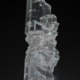 Gypsum (variety selenite)Naica, Municipio Saucillo, Chihuahua, México14.5 x 4.5 cm (Author: am mizunaka)