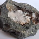 Aragonite, CalciteCantera Niu Corbu, Noragugume, Provincia Nuoro, Cerdeña/Sardegna, Italia8 x 7 cm (Author: Volkmar Stingl)