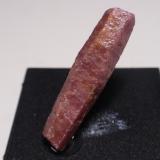 Corindon (Var Rubi)<br />Distrito Mysore, Karnataka, India<br /><br /> (Autor: Ignacio)