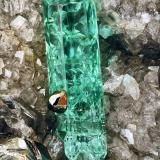 Beryl (variety emerald), Calcite, Dolomite, Albite (var. Cleavelandite), PyriteChivor mining district, Mirador Mine, Municipio Chivor, Eastern Emerald Belt, Boyacá Department, Colombia46x20x21 mm, xl=9 mm (Author: Fiebre Verde)