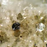 Cervandonita-(Ce), Moscovita<br />Glaciar Wanni, Scherbadung (Monte Cervandone), Valle Kriegalp, Valle Binn (Binntal), Wallis (Valais), Suiza<br />Cristal de 1 mm.<br /> (Autor: Antonio P. López)