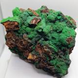 Conicalcita.<br />Calicata Dolores, Pastrana, Mazarrón / Águilas, Comarca Alto Guadalentín, Región de Murcia (Murcia), España<br />12x9 cm<br /> (Autor: AntonioJesus)