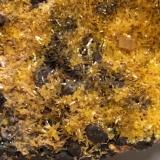 Mimetita<br />Mina Ojuela, Mapimí, Municipio Mapimí, Durango, México<br />70x40x40 mm.<br /> (Autor: Luis Edmundo Sánchez Roja)