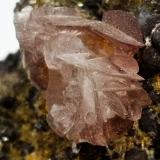 Adamita (variedad Mn-dominante)<br />Mina Ojuela, Mapimí, Municipio Mapimí, Durango, México<br />70x40x40 mm.<br /> (Autor: Luis Edmundo Sánchez Roja)