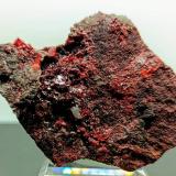 Cinabrio<br />Mina El Entredicho, Almadenejos, Comarca Valle de Alcudia, Ciudad Real, Castilla-La Mancha, España<br />8x5 cm<br /> (Autor: AntonioJesus)