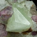 Rb-bearing Rhodizite with Elbaite (variety rubellite) and Danburite<br />Tetezantsio-Andoabatokely pegmatite field, Andrembesoa, Betafo District, Vakinankaratra Region, Madagascar<br />main crystal size: 1 × 0.8 cm<br /> (Author: Jordi Fabre)