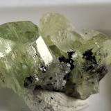 Diopside, GraphiteMerelani, Montes Lelatema, Distrito Simanjiro, Región Manyara, Tanzania2 x 1,5 cm (Author: Volkmar Stingl)