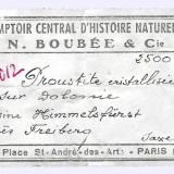The Boubée label that accompanied the specimen (Author: Jordi Fabre)