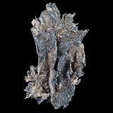 PlataChañarcillo, Copiapó Province, Atacama Region, Chile13.5 x 7.5 x 4.5 cm (Autor: Museo MIM)