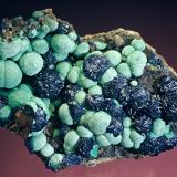 Azurite and malachiteMorenci, Distrito Copper Mountain, Montes Shannon, Condado Greenlee, Arizona, USA11cm X 8cm (Author: Steve Maslansky)