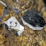 Sperrylite on ChalcopyriteTalnakh, Noril'sk, Meseta Putorana, Península Taimyr, Ókrug Taymyrskiy, Krai Krasnoyarsk, Rusiamain crystal size: 0.4 × 0.4 cm (Author: Jordi Fabre)