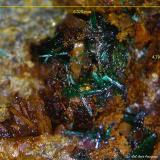 Brochantita y Cuarzo.<br />Mina Golosina, Cala del Mal Paso, Cuevas del Almanzora, Comarca Levante Almeriense, Almería, Andalucía, España<br />5´32x4´79 mm.<br /> (Autor: Jesus Franquesa Baucells)