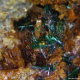 Brochantita y Cuarzo.<br />Mina Golosina, Cala del Mal Paso, Cuevas del Almanzora, Comarca Levante Almeriense, Almería, Andalucía, España<br />5´32x4´79 mm.<br /> (Autor: Jesus Franquesa Baucells)