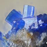 LinaritaMina Terreras, Filón "Terreras", Alto del pozo del Carril, Villanueva del Duque, Comarca Los Pedroches, Córdoba, Andalucía, EspañaCampo de visión de  1 mm. (Autor: Antonio Carmona)