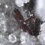 ProustitaLas Cruces Mine, Gerena-Guillena-Salteras, Comarca Sierra Norte, Seville, Andalusia, SpainCampo de visión de  2 mm. (Autor: Antonio Carmona)