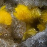 KasolitaMina San Rafael, Cardeña, Comarca Los Pedroches, Córdoba, Andalucía, EspañaCampo de visión de  2 mm. (Autor: Antonio Carmona)