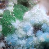 Goldhillita, crisocola y olivenitaMina Trípoli, Barranco del Cura, Huércal de Almería, Comarca Metropolitana de Almería, Almería, Andalucía, EspañaCampo de visión de  2 mm. (Autor: Antonio Carmona)