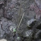 Millerita, níquel skutterudita y niquelinaCala Mines, Cala, Comarca Sierra de Huelva, Huelva, Andalusia, SpainCampo de visión de  4 mm. (Autor: Antonio Carmona)