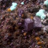 CupritaMinas de Cala, Cala, Comarca Sierra de Huelva, Huelva, Andalucía, EspañaCampo de visión de  2 mm. (Autor: Antonio Carmona)