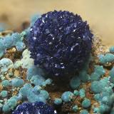 Azurita y malaquitaMinas de Cala, Cala, Comarca Sierra de Huelva, Huelva, Andalucía, EspañaCampo de visión de  5 mm. (Autor: Antonio Carmona)