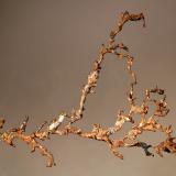 CopperMina White Pine, White Pine, Condado Ontonagon, Michigan, USA7.8 x 6.8 x 1.0 cm (Author: Michael Shaw)