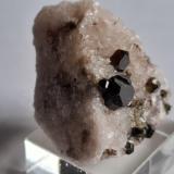 Fluor-Uvite, Magnesite<br />Pomba Pit, Serra das Éguas, Brumado, Bahia, Northeast Region, Brazil<br />3,5 x 2,5 cm<br /> (Author: Volkmar Stingl)