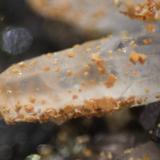 Quartz and DolomiteZona minera Madan, Montes Rhodope, Smolyan Oblast, BulgariaFOV 14 mm (Author: Firmo Espinar)