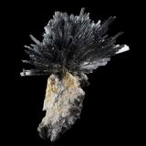StibniteHerja Mine, Chiuzbaia, Baia Sprie, Maramures, Romania12.5 x 12.5 x 17 cm / main crystal: 7 cm (Author: MIM Museum)