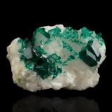 Dioptasa sobre CalcitaMina Tsumeb, Tsumeb, Región Otjikoto, Namibia6 x 4.5 x 3.5 cm / cristal principal: 1.6 cm (Autor: Museo MIM)