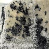 Ludwigite<br />Vedretta della Miniera, Val Zebrù, Valfurva, Sondrio, Lombardia, Italia, Italy<br />4 x 3 cm<br /> (Author: Volkmar Stingl)