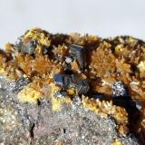 Hutchinsonite, Orpiment<br />Quiruvilca Mine (La Libertad Mine), Quiruvilca District, Santiago de Chuco Province, La Libertad Department, Peru<br />3,5 x 2,5 cm<br /> (Author: Volkmar Stingl)