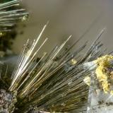 Millerita<br />Mina Eugenia, Bellmunt del Priorat, Comarca Priorat, Tarragona, Cataluña / Catalunya, España<br />15 mm<br /> (Autor: Borja Sainz de Baranda)