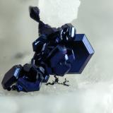 Covellina<br />Barranco del Celejo, Níjar, Comarca Metropolitana de Almería, Almería, Andalucía, España<br />4 mm<br /> (Autor: Borja Sainz de Baranda)