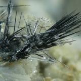 Boulangerita<br />Mina Las Simonas, Hinojosas de Calatrava, Comarca Valle de Alcudia, Ciudad Real, Castilla-La Mancha, España<br />10 mm<br /> (Autor: Borja Sainz de Baranda)