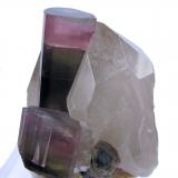 Tourmaline, QuartzMina Himalaya, Gem Hill, Distrito Mesa Grande, San Diego County, California, USA65 mm x 57 mm x 50 mm. Tourmaline: 45 tall, 13 wide. Mass: 135g (Author: Carles Millan)