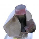 Elbaite, QuartzMina Himalaya, Gem Hill, Distrito Mesa Grande, San Diego County, California, USA65 mm x 57 mm x 50 mm. Tourmaline: 45 tall, 13 wide. Mass: 135g (Author: Carles Millan)