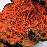 Crocoita.Mina Red Lead, Campo minero Dundas, Distrito Zeehan, Consejo Costa Oeste, Tasmania, Australia10x5 cm (Autor: AntonioJesus)