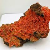 Crocoita.Mina Red Lead, Campo minero Dundas, Distrito Zeehan, Consejo Costa Oeste, Tasmania, Australia10x5 cm (Autor: AntonioJesus)