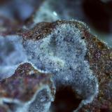 Erionite<br />Pauliberg Hill, Markt Sankt Martin, District Oberpullendorf, Burgenland, Austria<br />1,5 x 1 cm<br /> (Author: Volkmar Stingl)