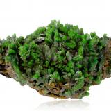 Pyromorphite on Baryte with limoniteLes Farges Mine (Des Farges Mine), Ussel, Corrèze, Nouvelle-Aquitaine, France9.5 x 5.5 x 4.5 cm / main crystal: 1.4 cm (Author: MIM Museum)