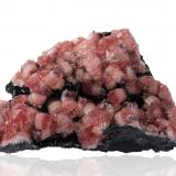 Rhodochrosite on ManganiteN'Chwaning mining area, Kuruman, Kalahari manganese field (KMF), Northern Cape Province, South Africa10.5 x 6.5 x 4 cm / main crystal: 1.3 cm (Author: MIM Museum)