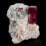 Beryl (variety bixbite) on rhyoliteConcesiones Ruby Violet, Montes Wah Wah, Condado Beaver, Utah, USA4 x 4 x 5 cm / main crystal: 2.1 cm (Author: MIM Museum)