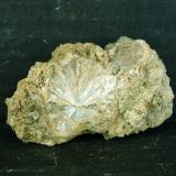 PrehnitaMina San Antonio, Cehegín, Comarca Noroeste, Región de Murcia (Murcia), España5.5 x 3.5 cm (Autor: Pedro Antonio)