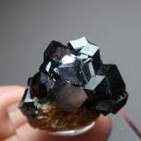 Andradita (variedad melanita)Imilchil area, Anti-Atlas, Er Rachidia Province, Drâa-Tafilalet Region, Morocco20x25 mm (Autor: Ignacio)