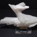 EscolecitaDistrito Pune (Distrito Poonah), Maharashtra, India130x80 mm (Autor: Ignacio)