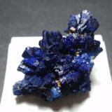 AzuritaKara-Shoshak Mine, Dzhezkazgan, Karaganda Region, Kazakhstan25x25 mm (Autor: Ignacio)